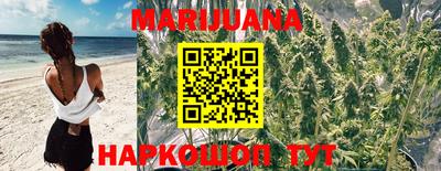 гидра Гатчина