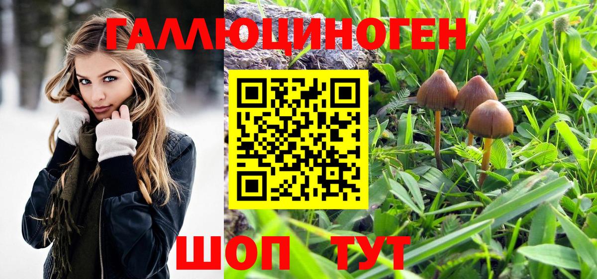 магазин продажи   Галлюциногенные грибы мухоморы  Галлюциногенные грибы GOLDEN TEACHER  Вход с VPN  Мытищи 